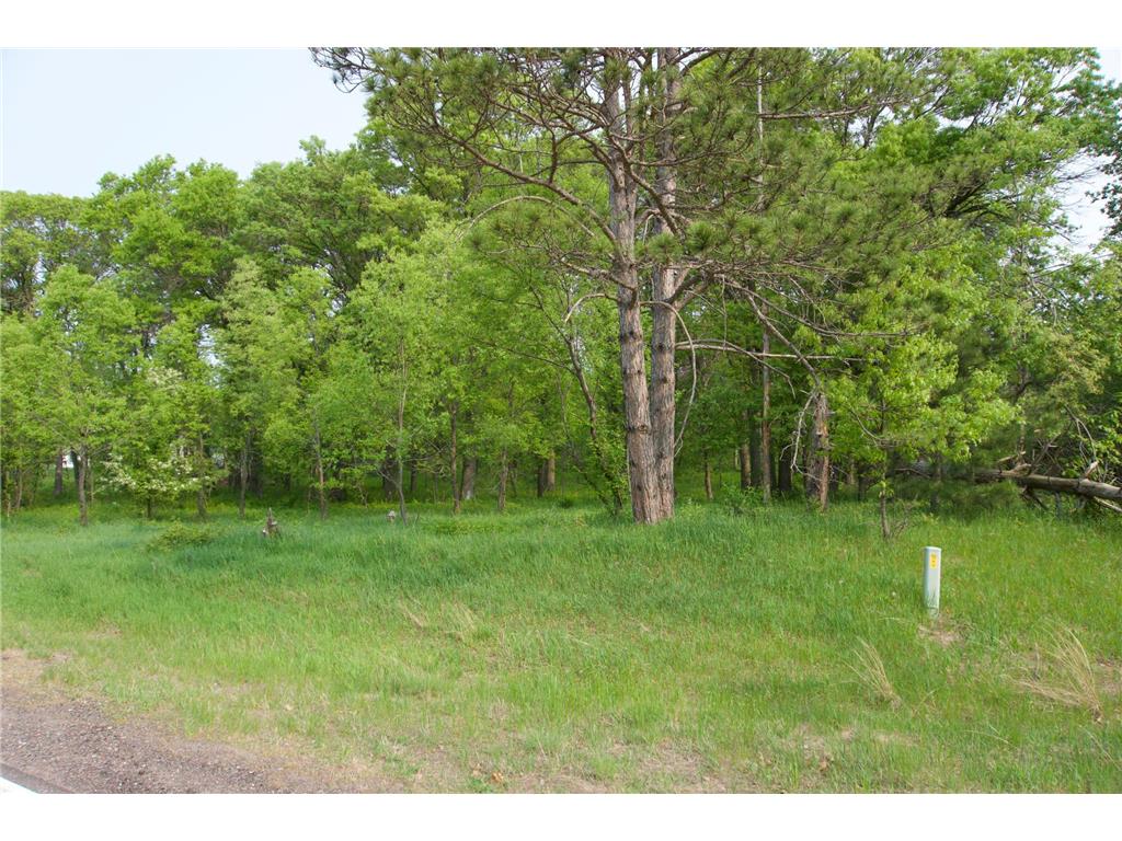 XXX Lot 3 283rd Avenue NW Zimmerman MN 55398 7067510 image2