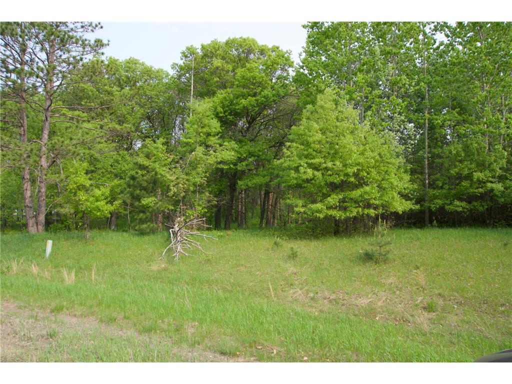 XXX Lot 3 283rd Avenue NW Zimmerman MN 55398 7067510 image4