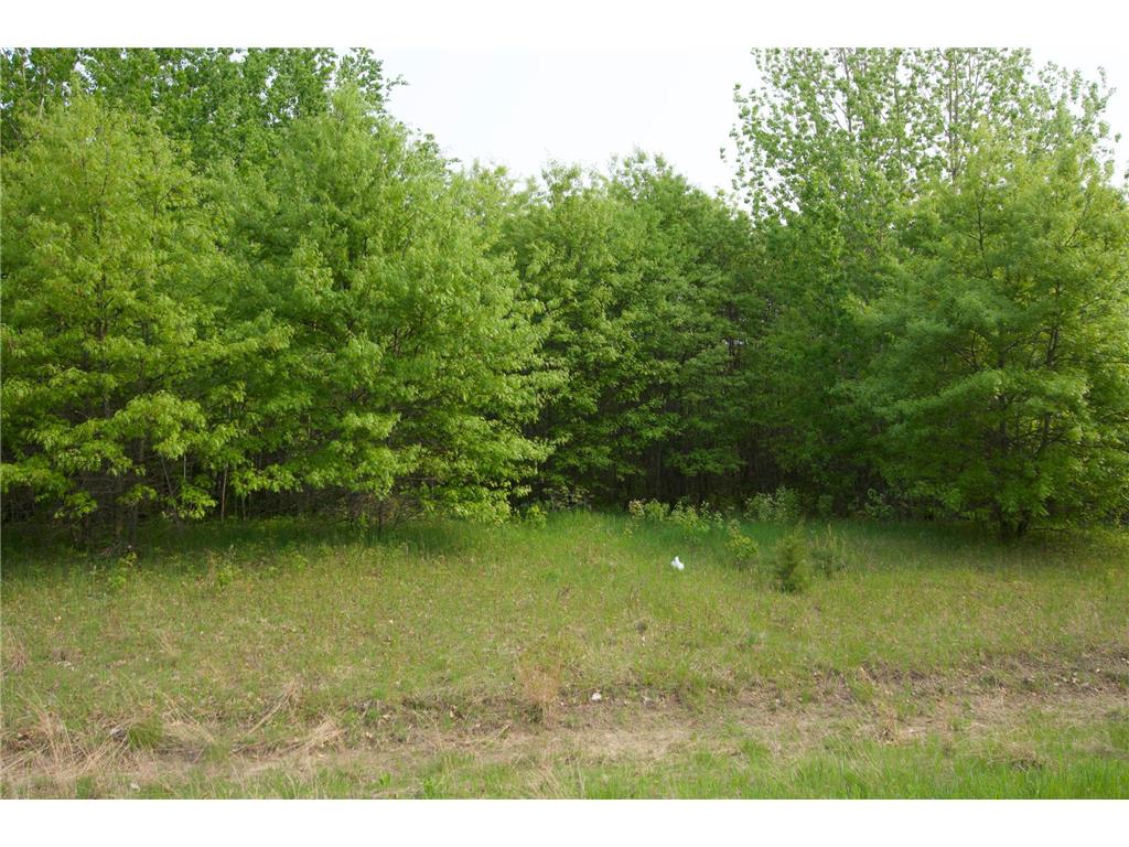 XXX Lot 3 283rd Avenue NW Zimmerman MN 55398 7067510 image5