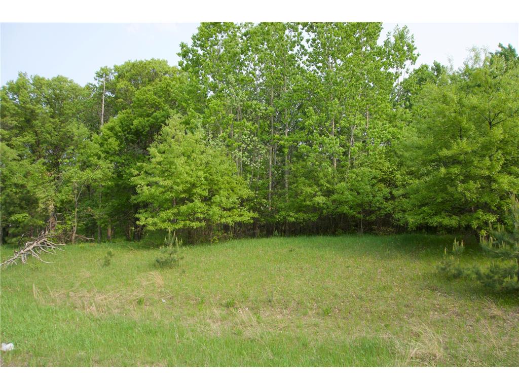 XXX Lot 3 283rd Avenue NW Zimmerman MN 55398 7067510 image7