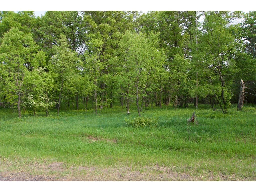 XXX Lot 3 283rd Avenue NW Zimmerman MN 55398 7067510 image8
