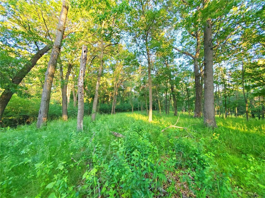 XXX Lot 3 Chestnut Street Marine On Saint Croix MN 55047 6709991 image1
