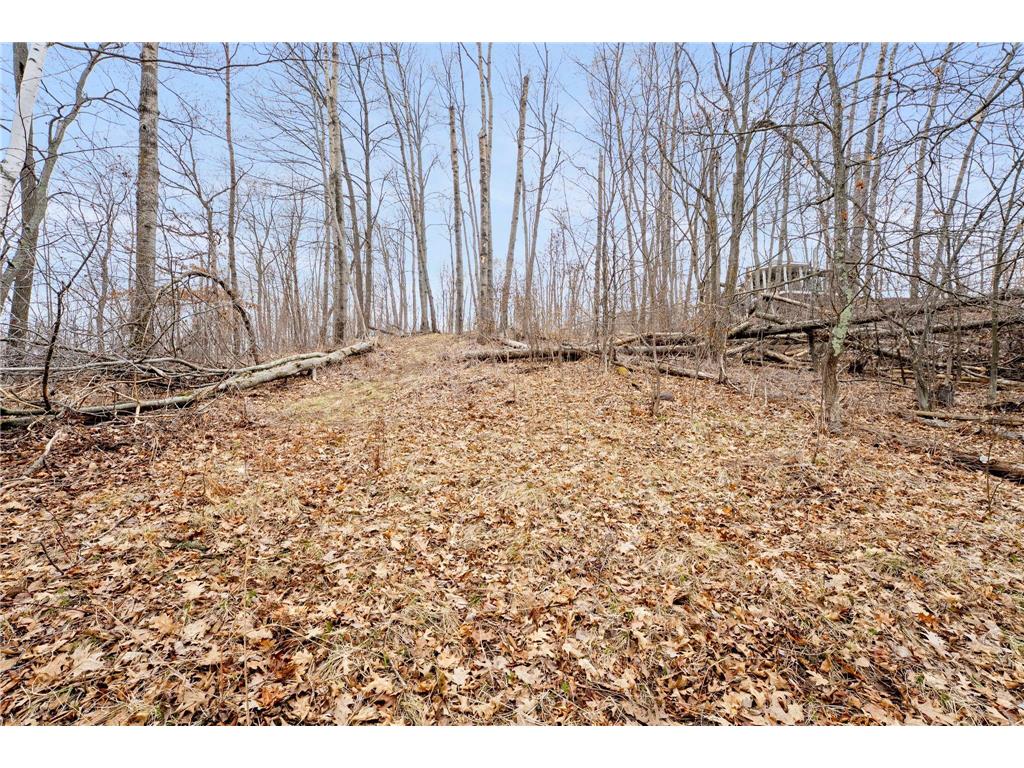 XXX Lot 4 330th Ave/68th St Clam Falls WI 54837 - Clam Falls Flowage 7052733 image18