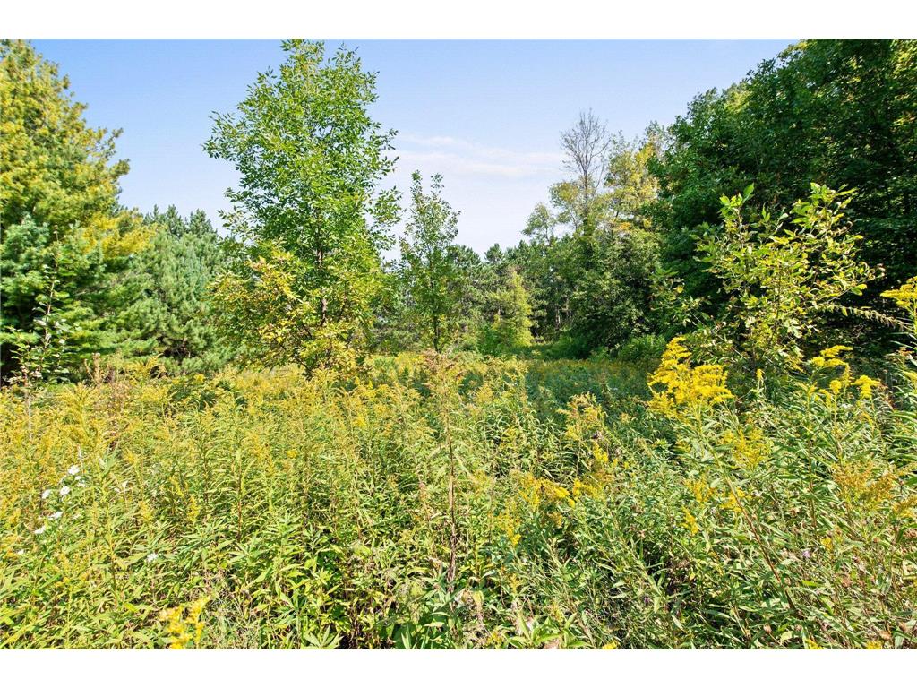 XXX Lot 4 Maple Drive Saint Croix Falls WI 54024 6600677 image1