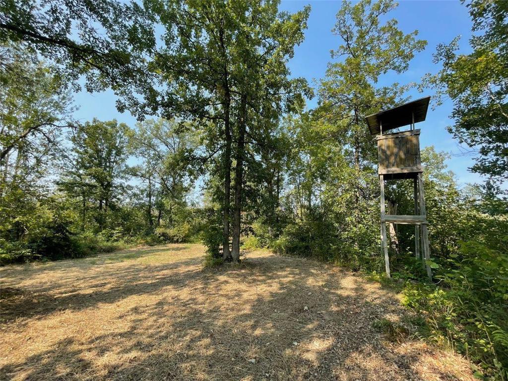 XXX Lower Tamarack Road Bruno MN 55712 6597739 image1