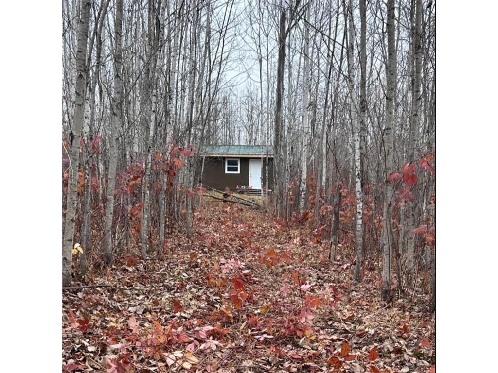 XXX MT Nelson Rd Skelton Twp MN 55707 7094853 image1