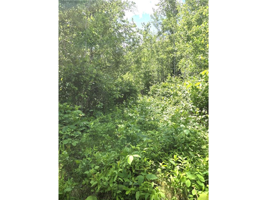 XXX MT Nelson Rd Skelton Twp MN 55707 7094853 image16