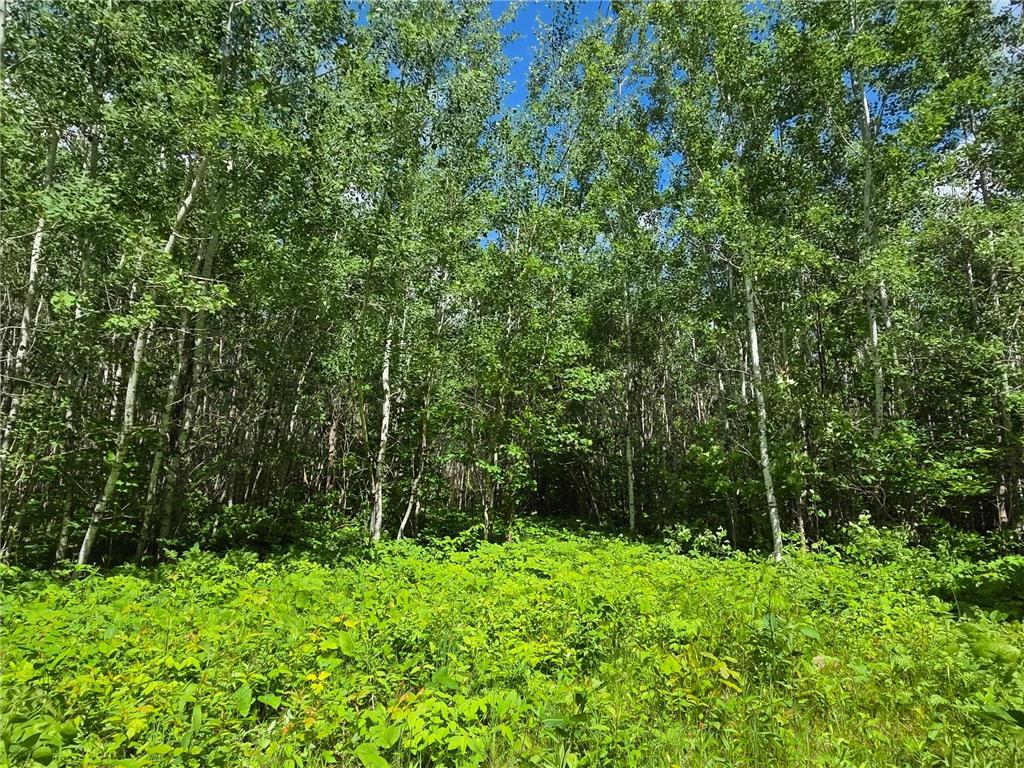 XXX MT Nelson Rd Skelton Twp MN 55707 7094853 image17