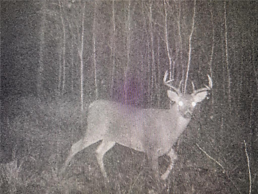 XXX MT Nelson Rd Skelton Twp MN 55707 7094853 image19
