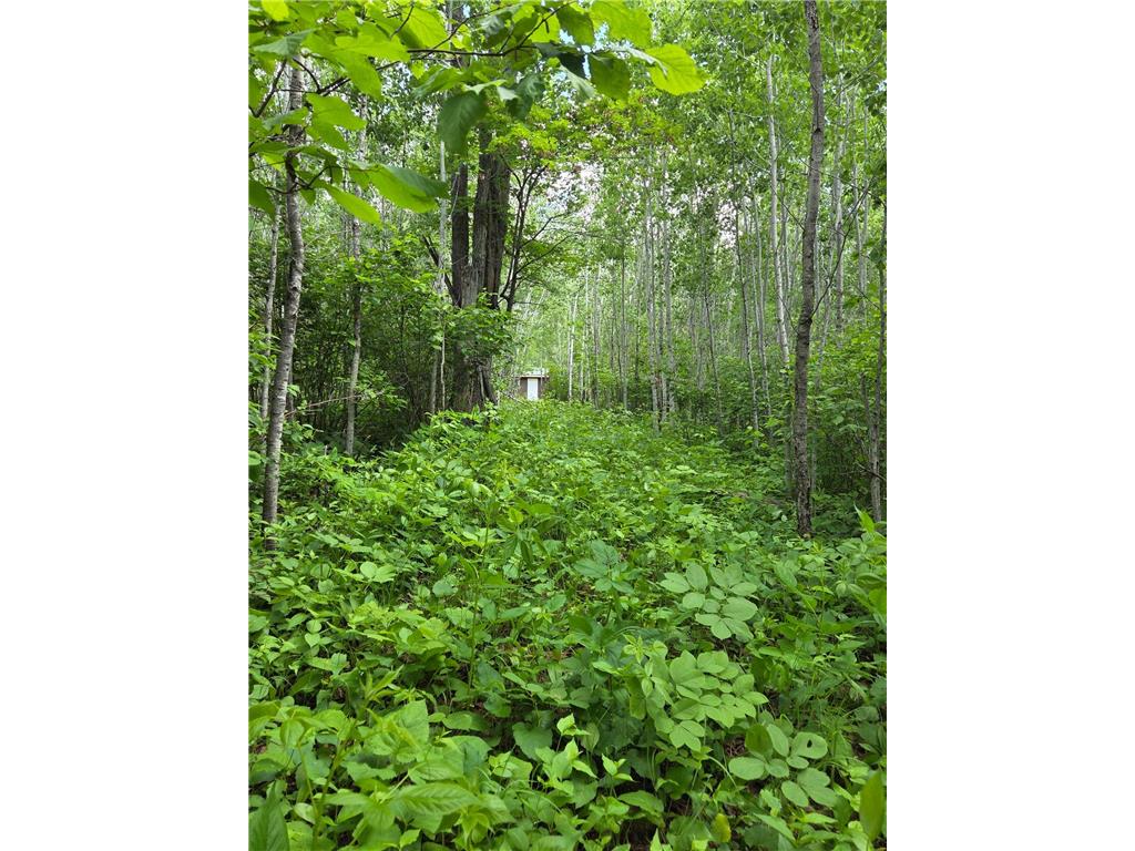 XXX MT Nelson Rd Skelton Twp MN 55707 7094853 image2