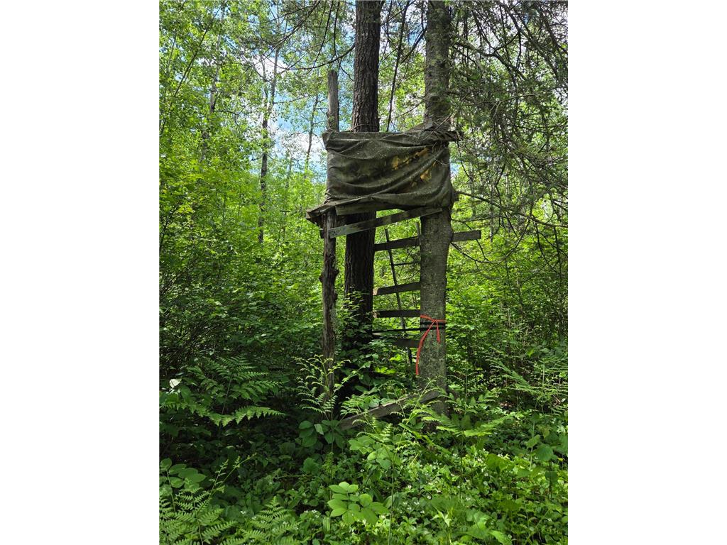 XXX MT Nelson Rd Skelton Twp MN 55707 7094853 image3