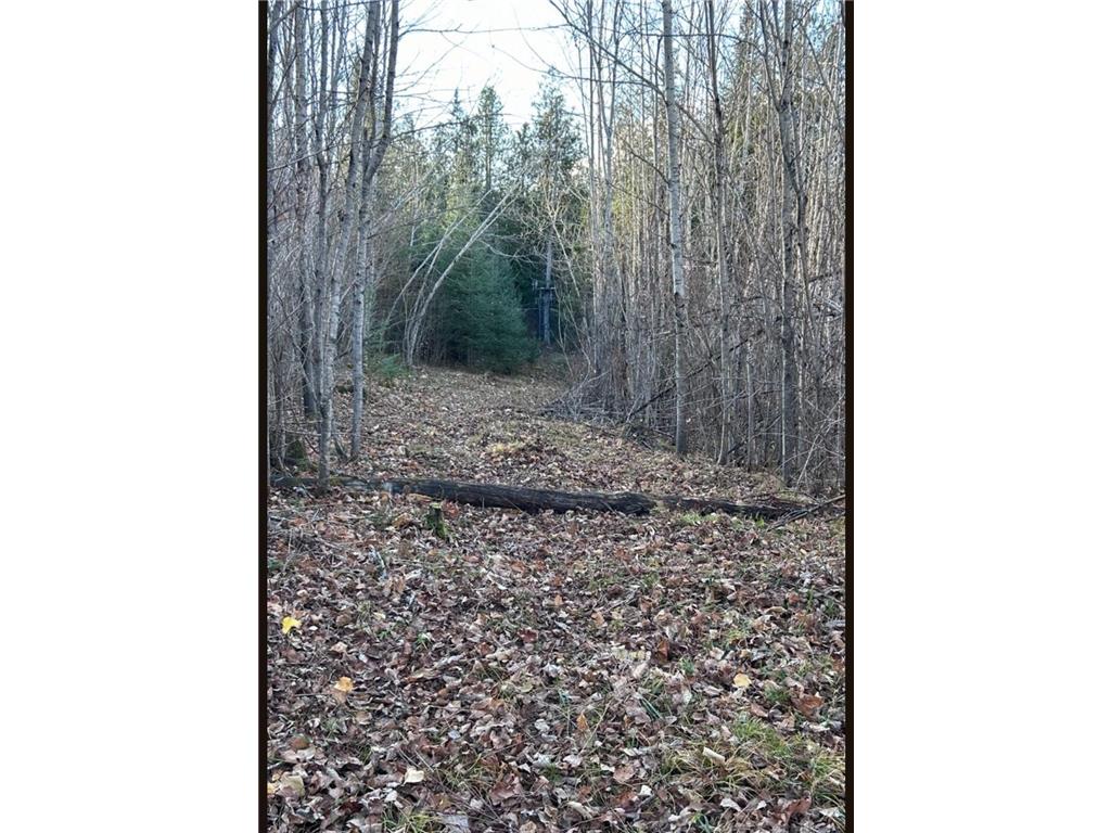 XXX MT Nelson Rd Skelton Twp MN 55707 7094853 image6