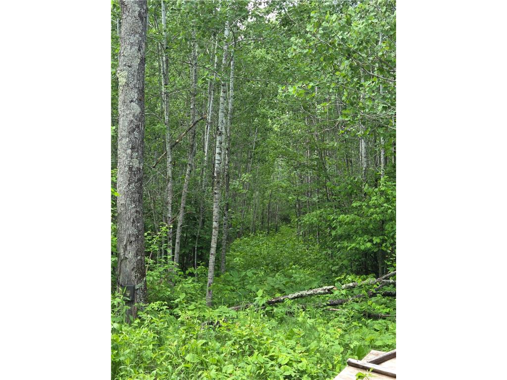 XXX MT Nelson Rd Skelton Twp MN 55707 7094853 image7
