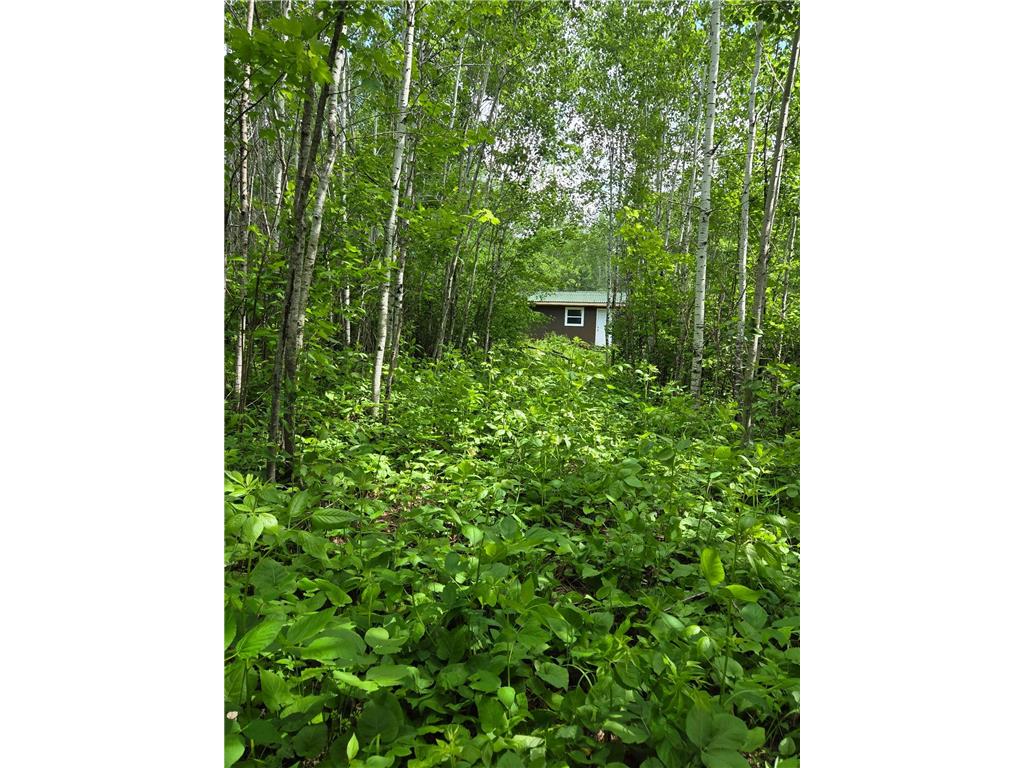 XXX MT Nelson Rd Skelton Twp MN 55707 7094853 image8