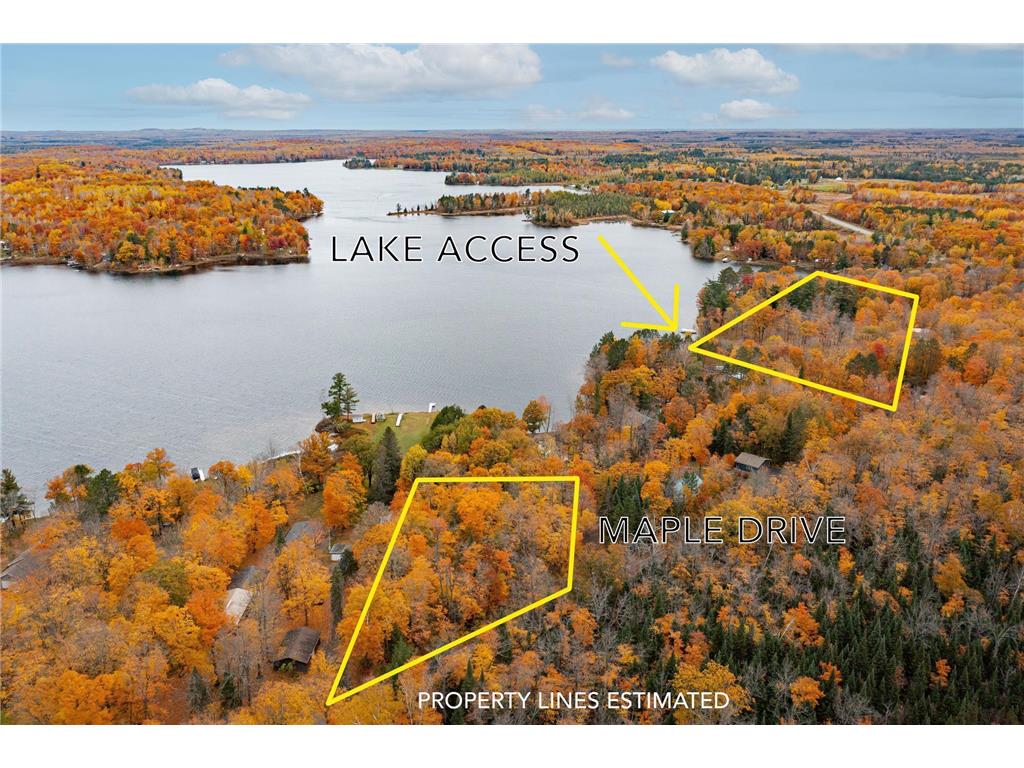 XXX Maple Drive Perch Lake Twp MN 55720 - Big Lake 6272212 image1