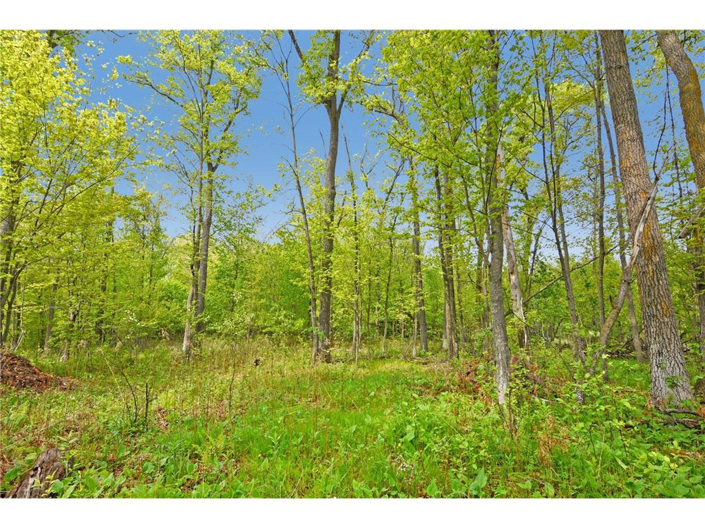 XXX Maplewood Drive East Gull Lake MN 56401 - Dade 6722565 image13