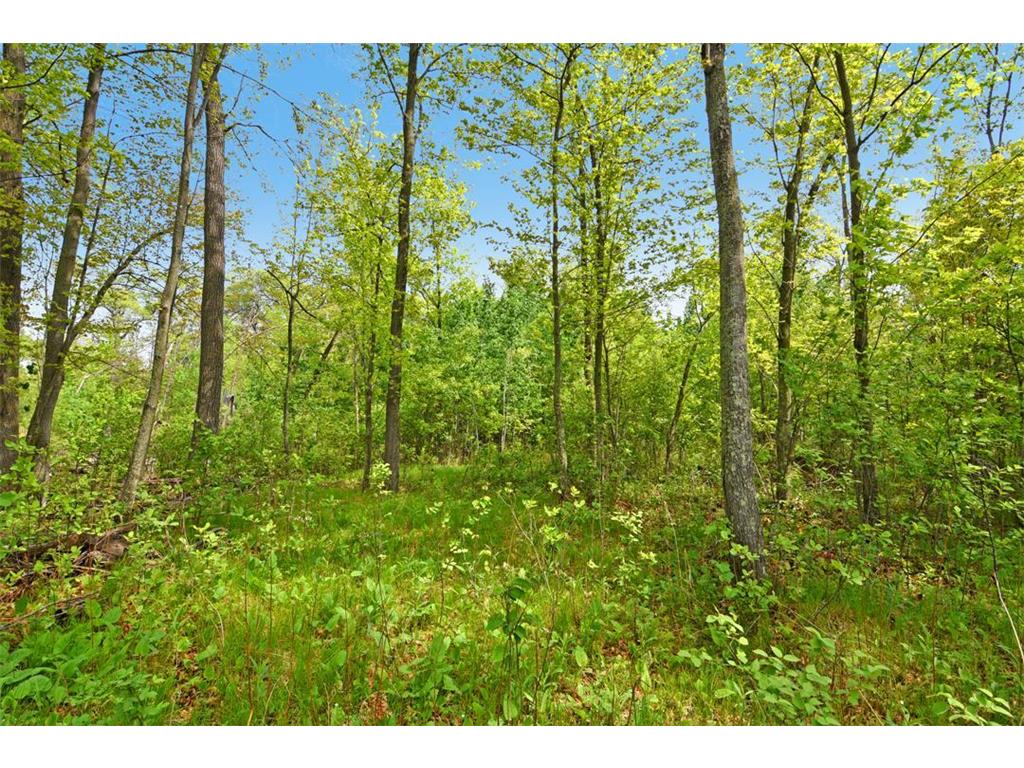 XXX Maplewood Drive East Gull Lake MN 56401 - Dade 6722565 image14