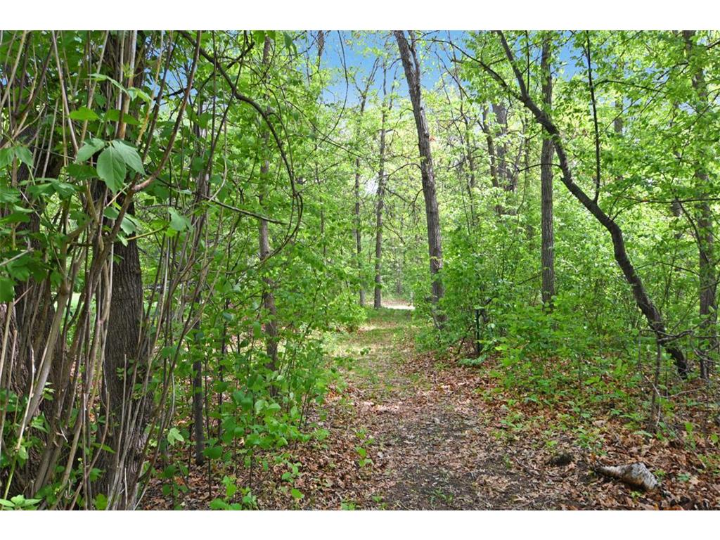 XXX Maplewood Drive East Gull Lake MN 56401 - Dade 6722565 image21