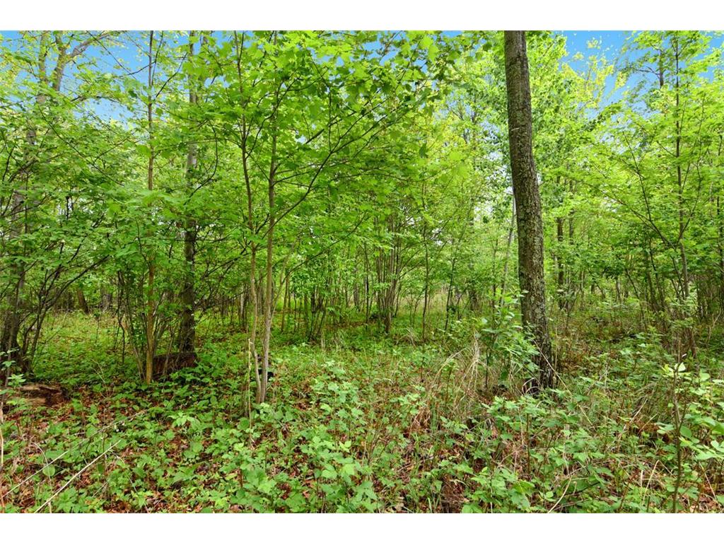 XXX Maplewood Drive East Gull Lake MN 56401 - Dade 7070652 image10