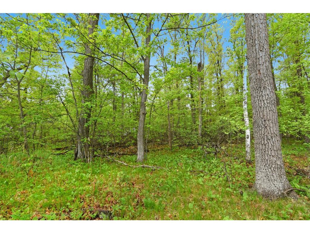XXX Maplewood Drive East Gull Lake MN 56401 - Dade 7070652 image11