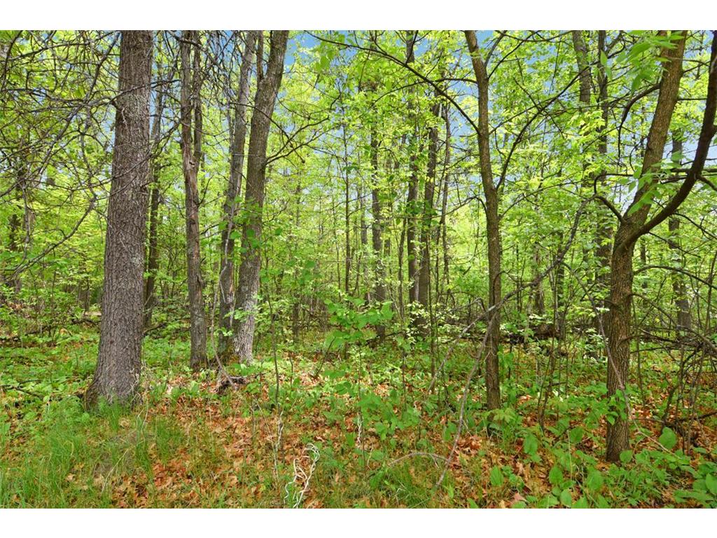 XXX Maplewood Drive East Gull Lake MN 56401 - Dade 7070652 image7