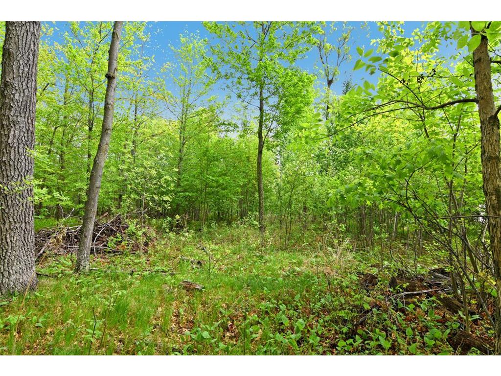 XXX Maplewood Drive East Gull Lake MN 56401 - Dade 7070652 image9
