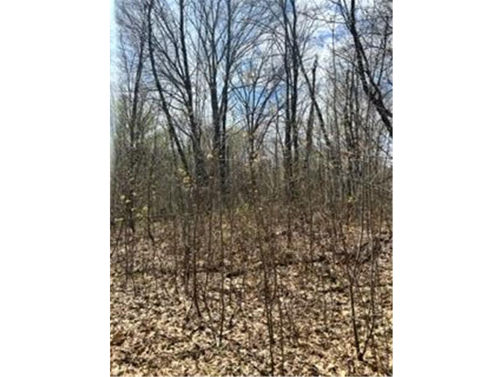 XXX Marble Dr Cushing Twp MN 56443 6357479 image1