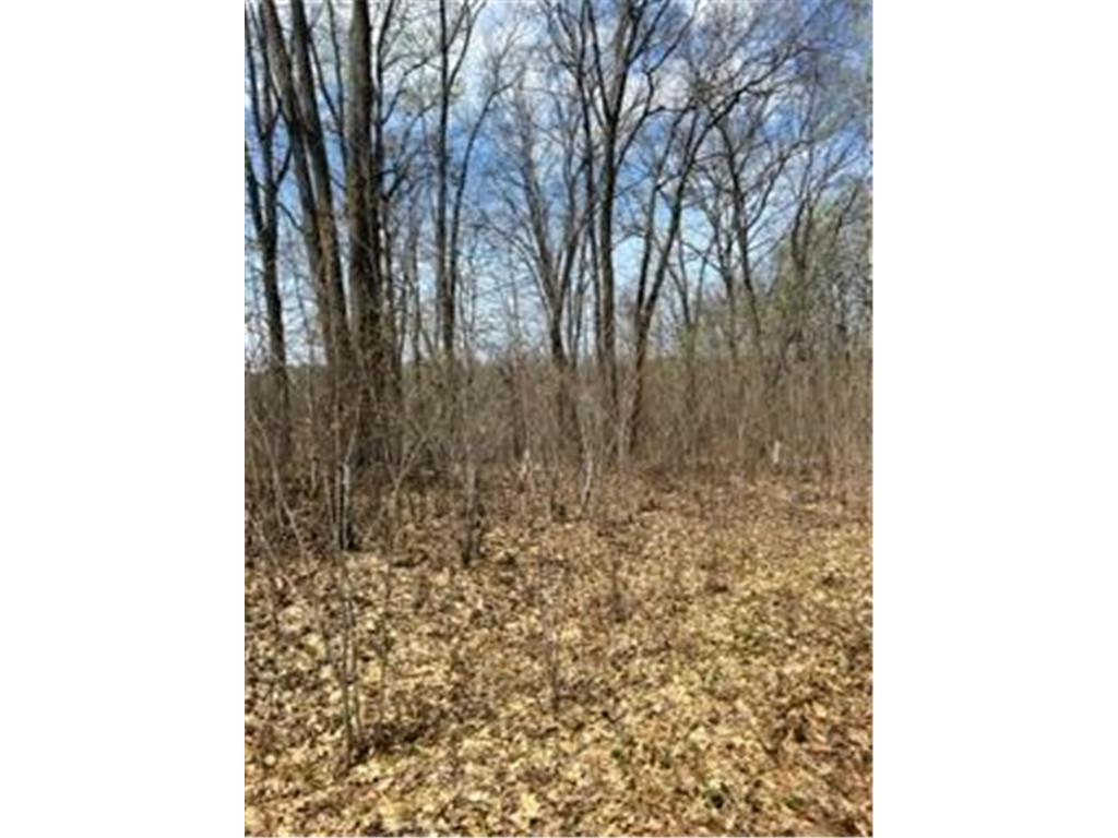 XXX Marble Dr Cushing Twp MN 56443 6359679 image1