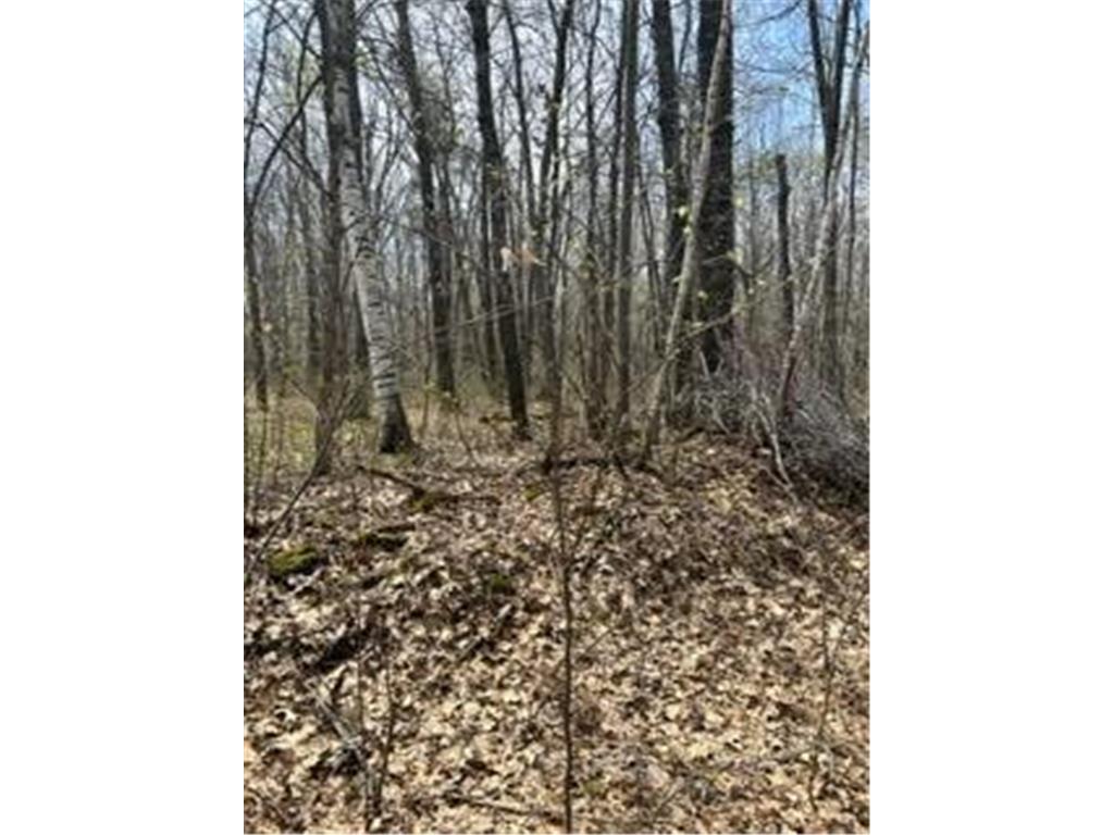 XXX Marble Dr Cushing Twp MN 56443 6359680 image1