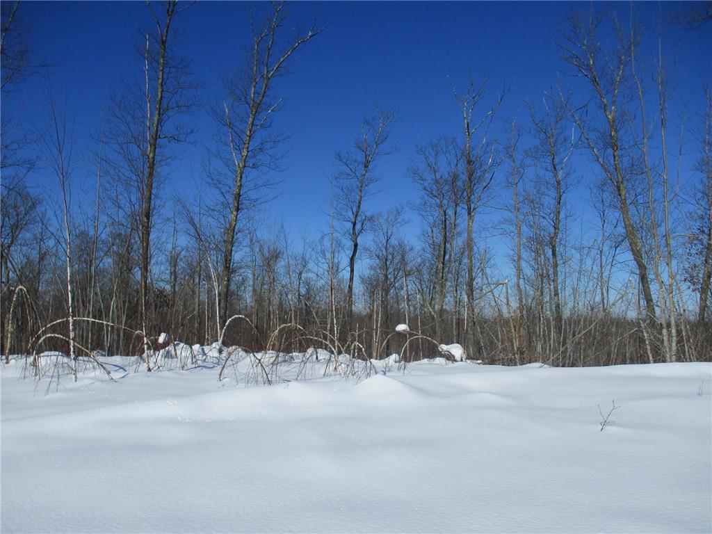 XXX McGraw Lake Rd, Danbury, WI, 54830 MLS 6331343 Edina Realty