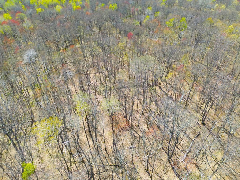 XXX McGrew Rd Isle MN 56342 7071683 image11