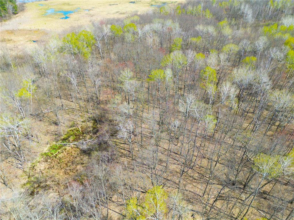 XXX McGrew Rd Isle MN 56342 7071683 image12