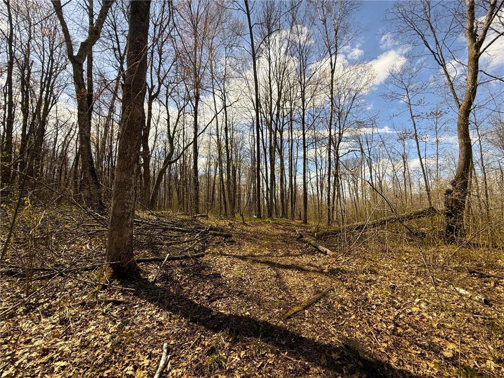 XXX McGrew Rd Isle MN 56342 7071683 image15