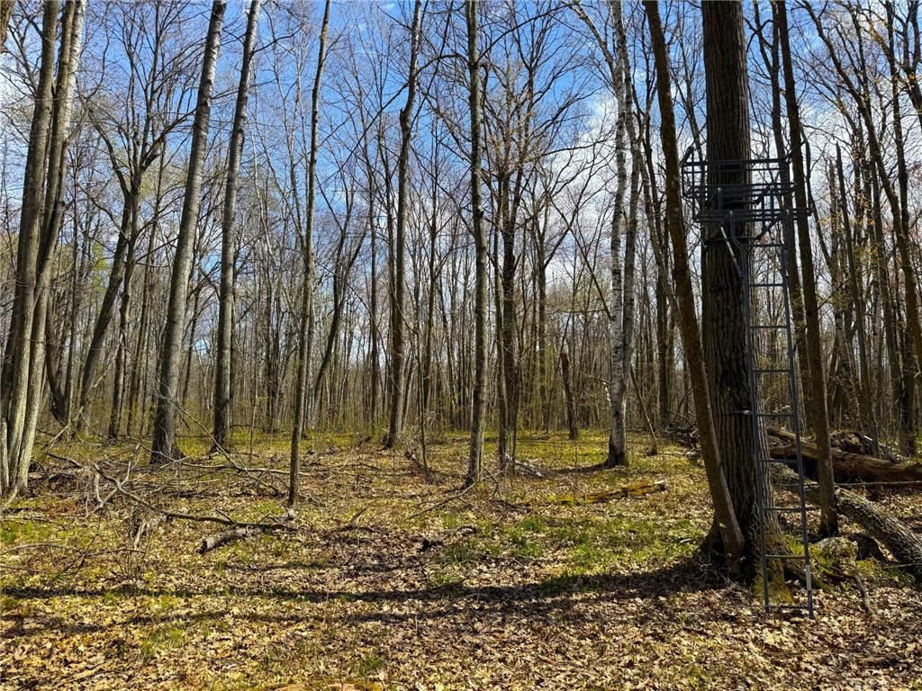 XXX McGrew Rd Isle MN 56342 7071683 image17