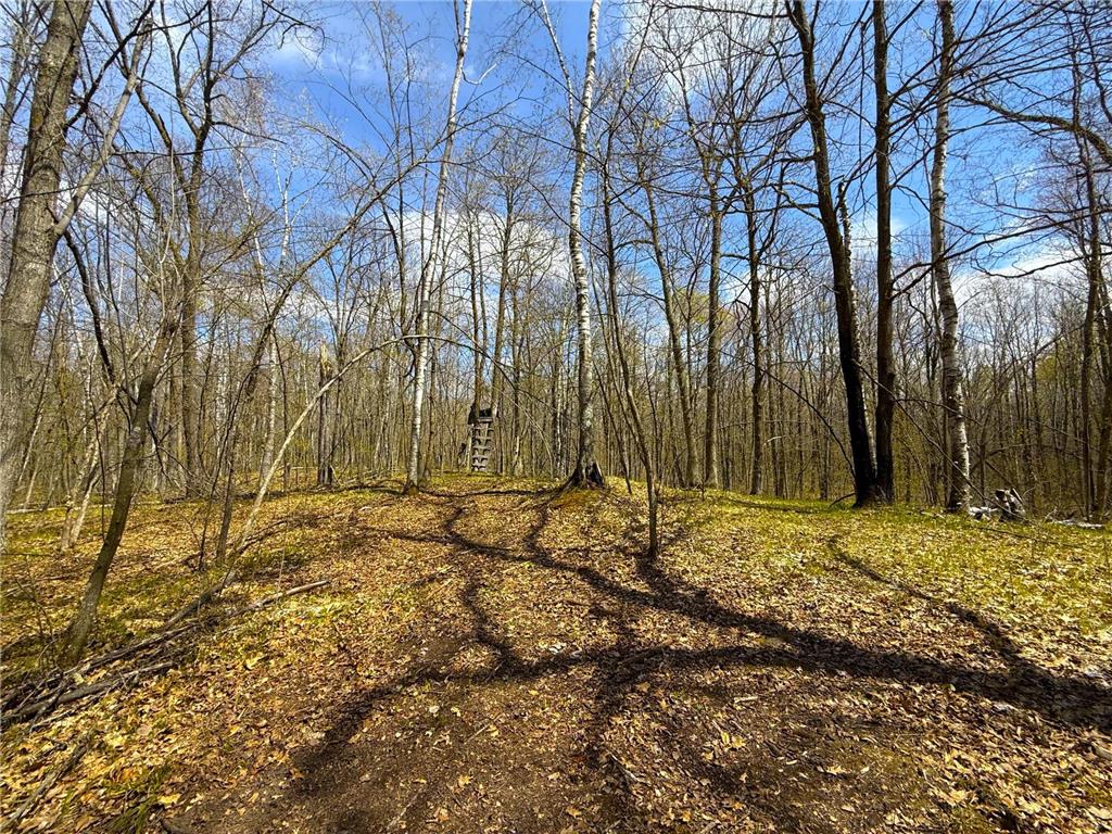 XXX McGrew Rd Isle MN 56342 7071683 image18