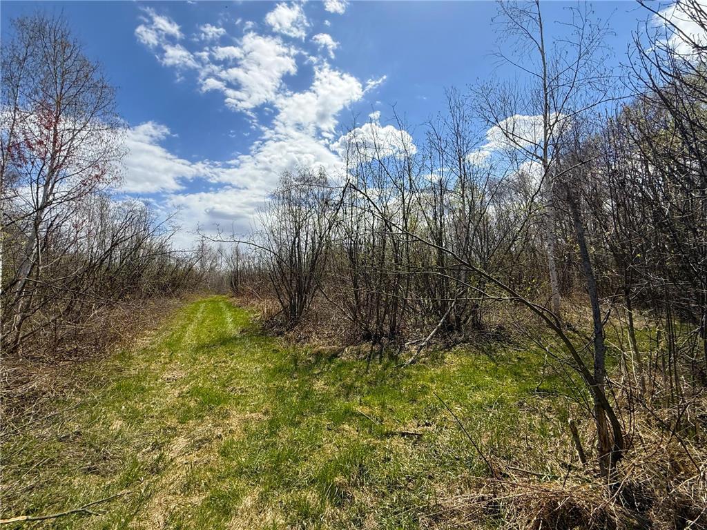 XXX McGrew Rd Isle MN 56342 7071683 image19
