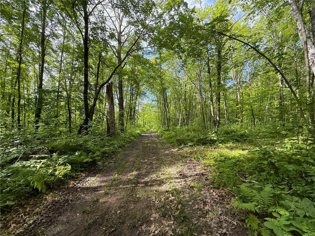 XXX McGrew Rd Isle MN 56342 7071683 image20
