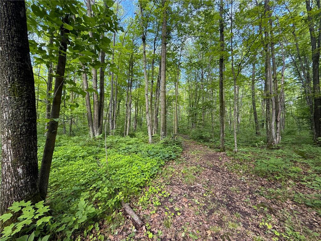 XXX McGrew Rd Isle MN 56342 7071683 image21