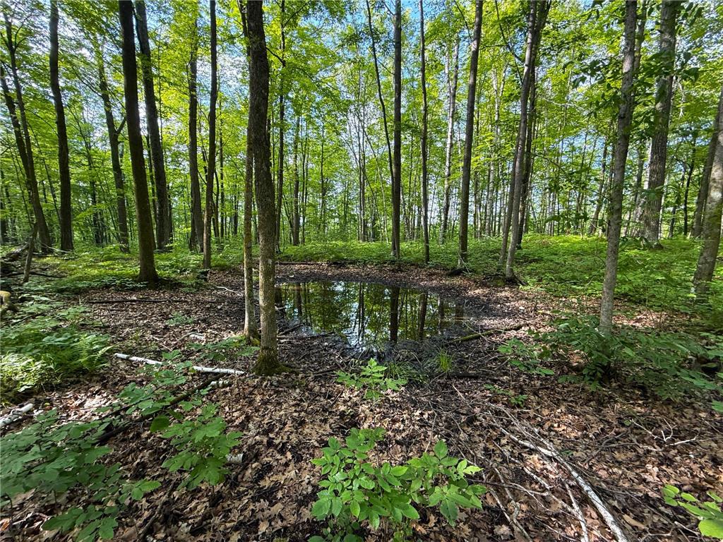 XXX McGrew Rd Isle MN 56342 7071683 image22