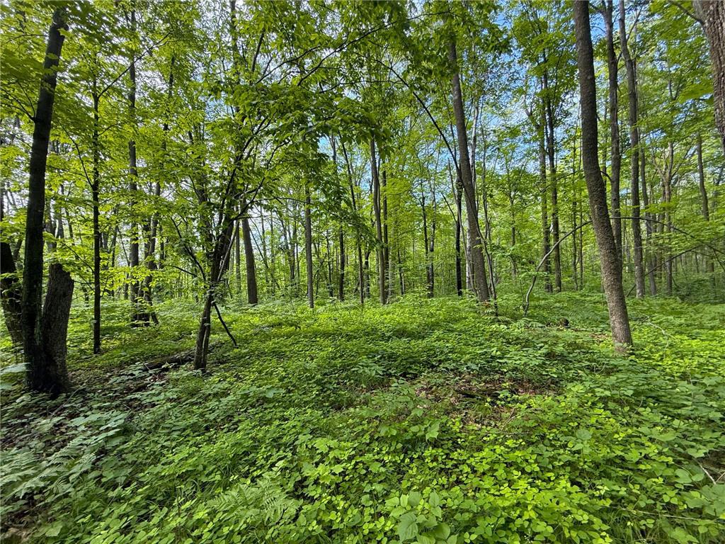 XXX McGrew Rd Isle MN 56342 7071683 image23
