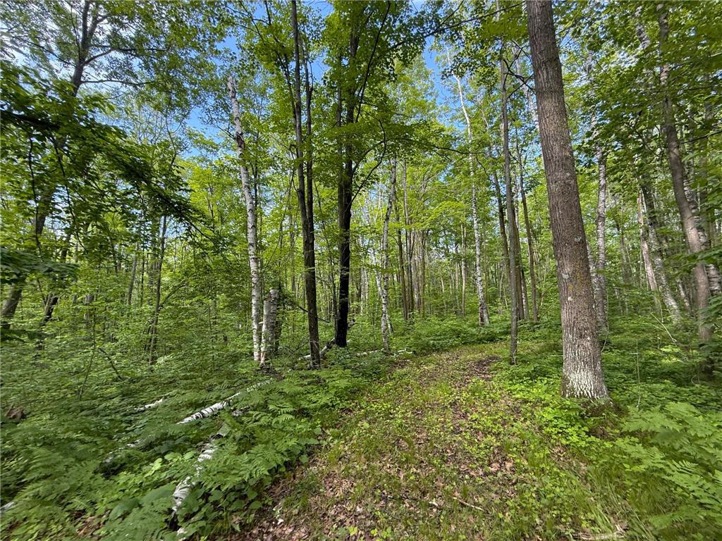 XXX McGrew Rd Isle MN 56342 7071683 image24