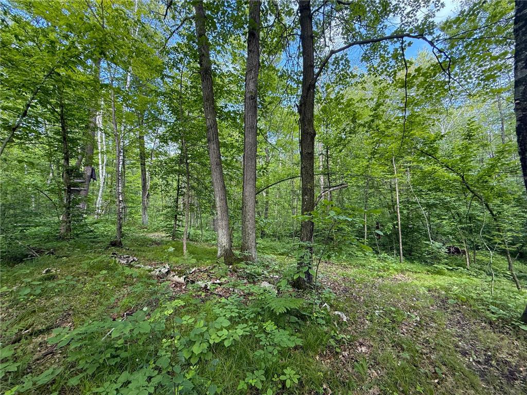 XXX McGrew Rd Isle MN 56342 7071683 image25