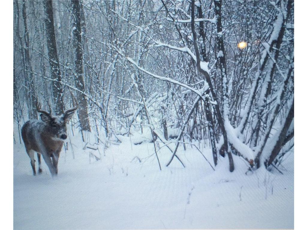 XXX McGrew Rd Isle MN 56342 7071683 image28