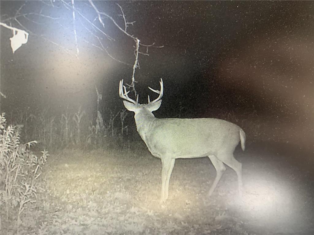 XXX McGrew Rd Isle MN 56342 7071683 image29