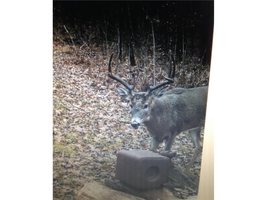XXX McGrew Rd Isle MN 56342 7071683 image30