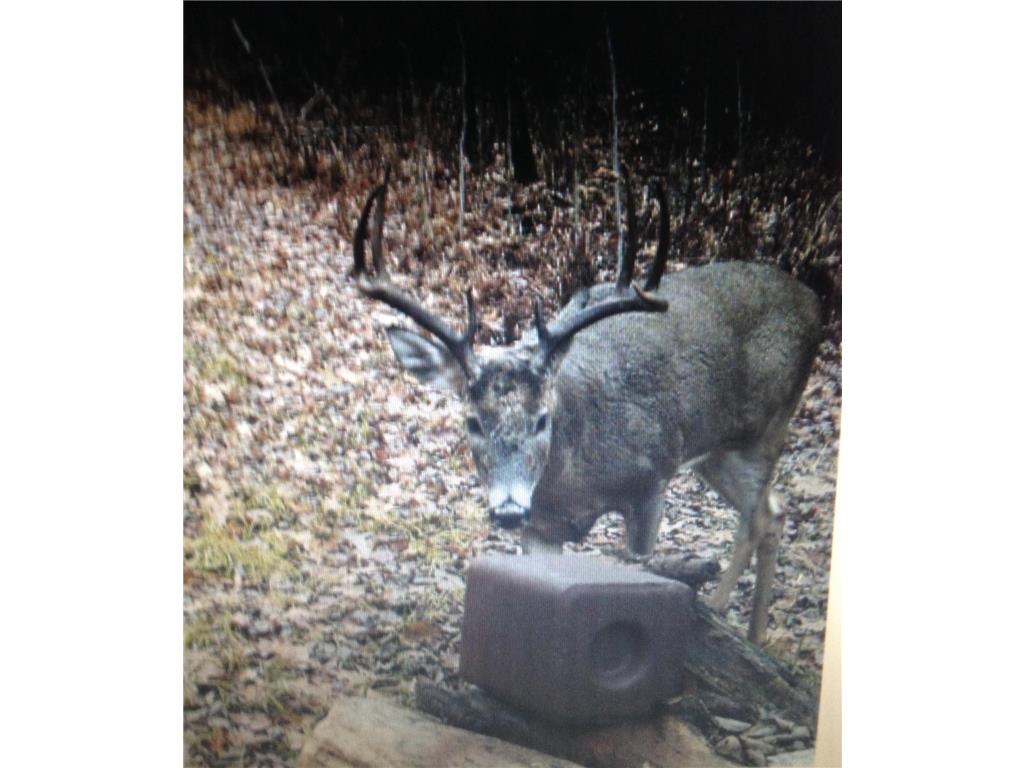 XXX McGrew Rd Isle MN 56342 7071683 image31