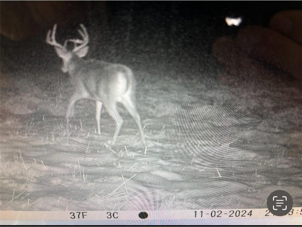 XXX McGrew Rd Isle MN 56342 7071683 image33