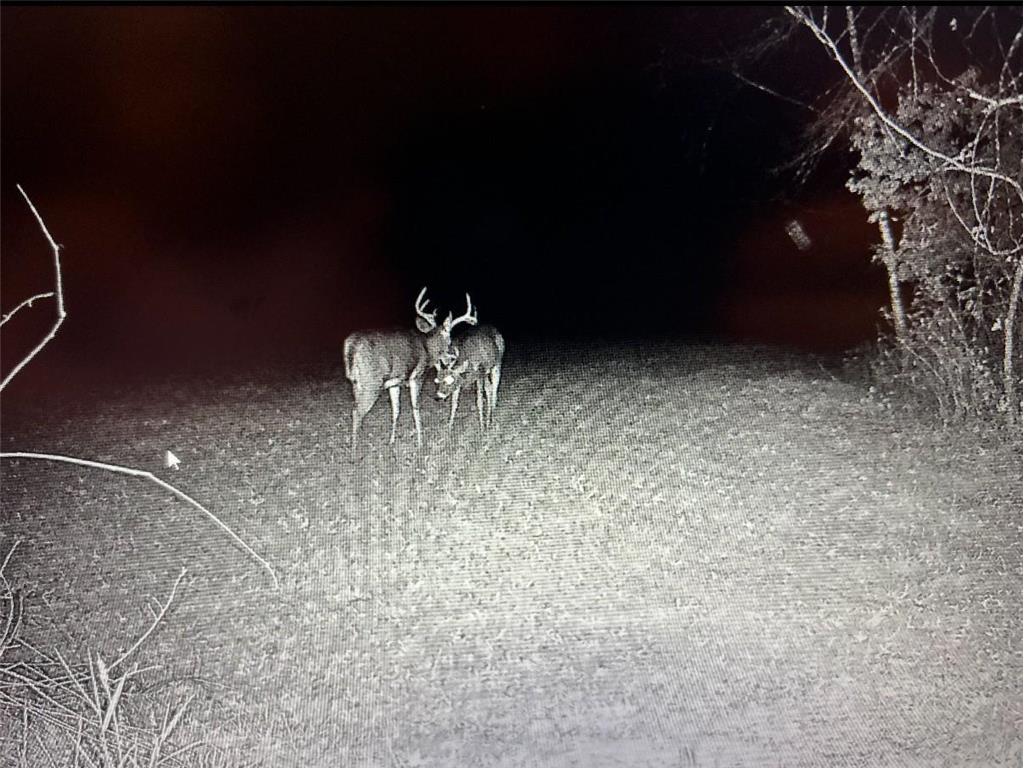 XXX McGrew Rd Isle MN 56342 7071683 image34