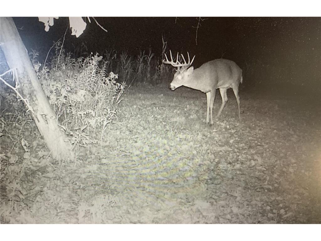 XXX McGrew Rd Isle MN 56342 7071683 image35