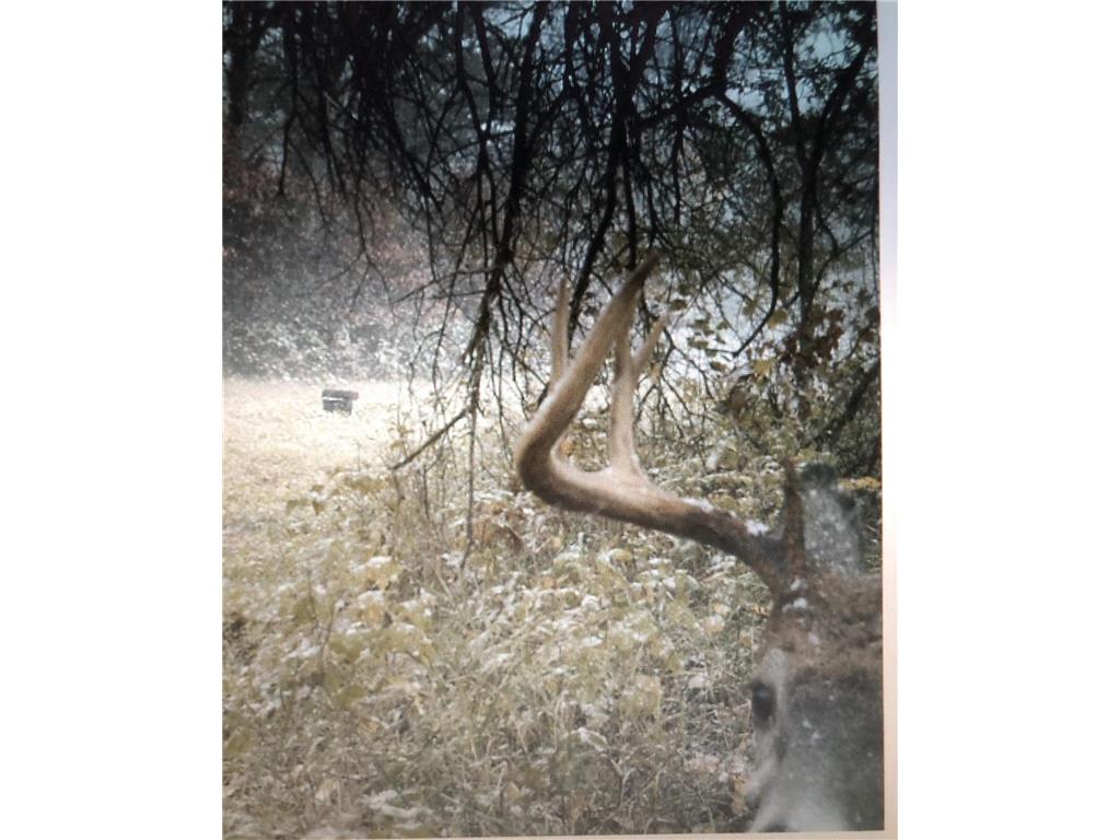 XXX McGrew Rd Isle MN 56342 7071683 image36